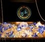 PCA 2009: Blog Live con Assopoker