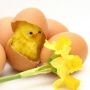 Buona Pasqua!!!