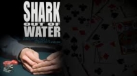 Shark Out of Water: nuovo cortometraggio sul poker