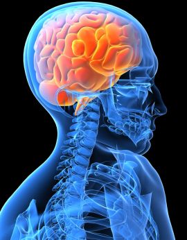 'The Brain' rilancia l'eterna sfida fra l'uomo e l'IA