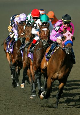 breeders-cup 