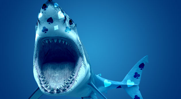 shark-poker