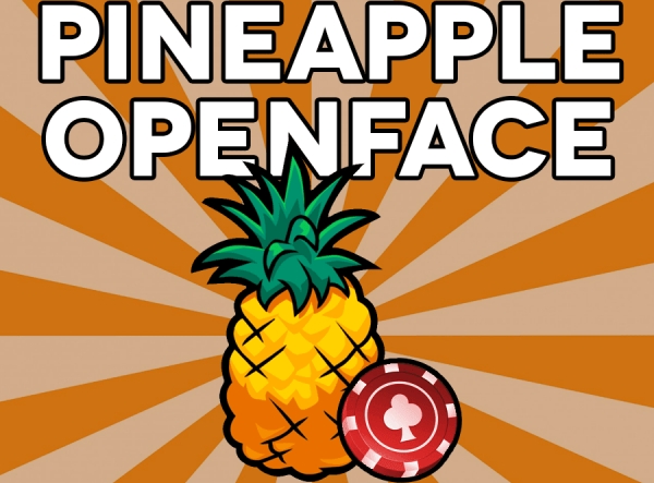 pineapple-openface-fiches