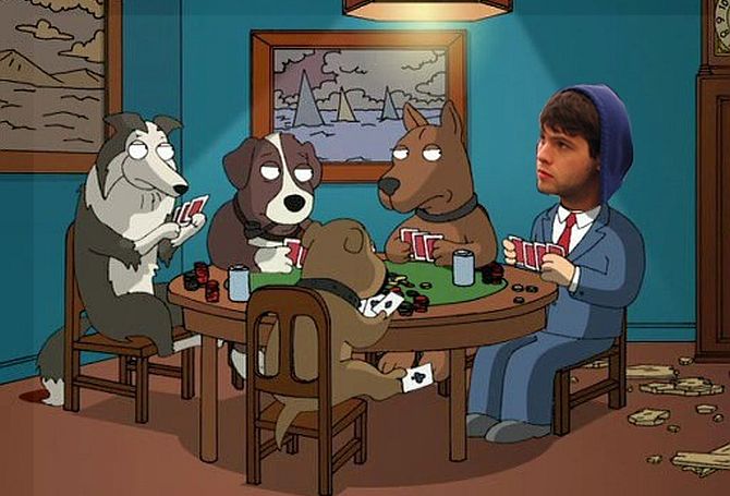 ben-sulsky-dogs