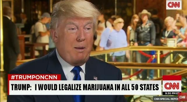marijuana-trump