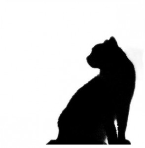iPoker: lechatnoir in evidenza nella domenica nera di SOGEI