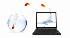 Poker it: il live e una nuova generazione di “fish”