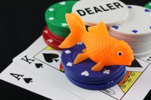 Poker it: crisi di mezza estate? Le cause