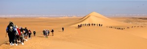 Brian Townsend, da grinder online a maratoneta nel Sahara!