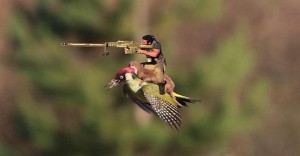 Dan Bilzerian diventa un meme, naturalmente virale