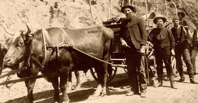 La febbre dell'oro