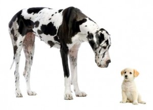 Strategia: quando le Scommesse Underdogs sono EV+
