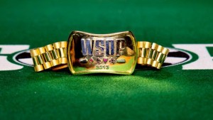 FANTAWSOP 2016, oggi il Millionaire Maker: fate la vostra scelta gratis fino alle ore 20!