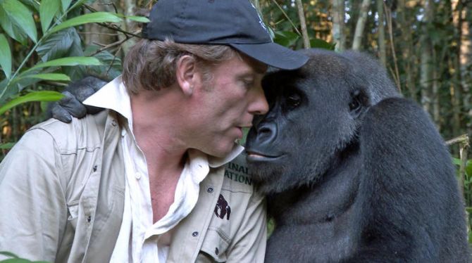 damian-aspinall-gorilla-gambling