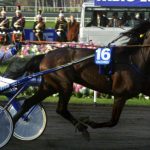 Varenne, il cavallo con il mindset d'acciaio che amava demolire gli avversari
