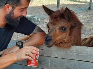 Galactic Series: Giulio "FabioBorini" Sonnino parte a razzo e shippa subito! Oggi i day 2