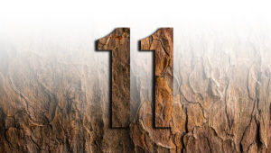 Report Online: "NUMERO11" fa il Colpo Grosso. Sunday Light a "Yes1KnewIT"