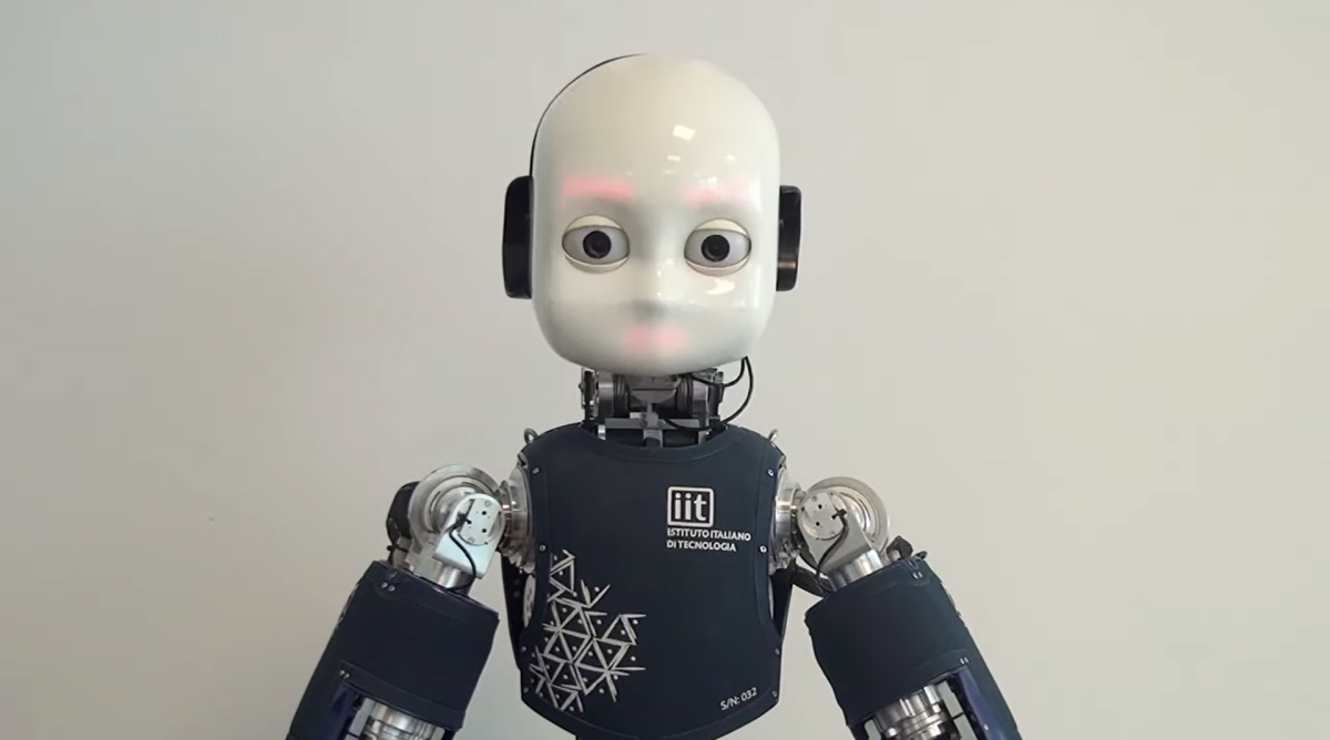 Robot iCub