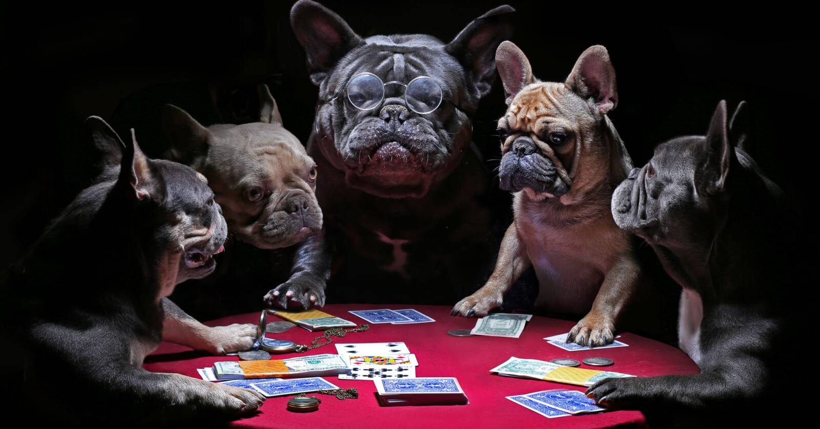poker natale