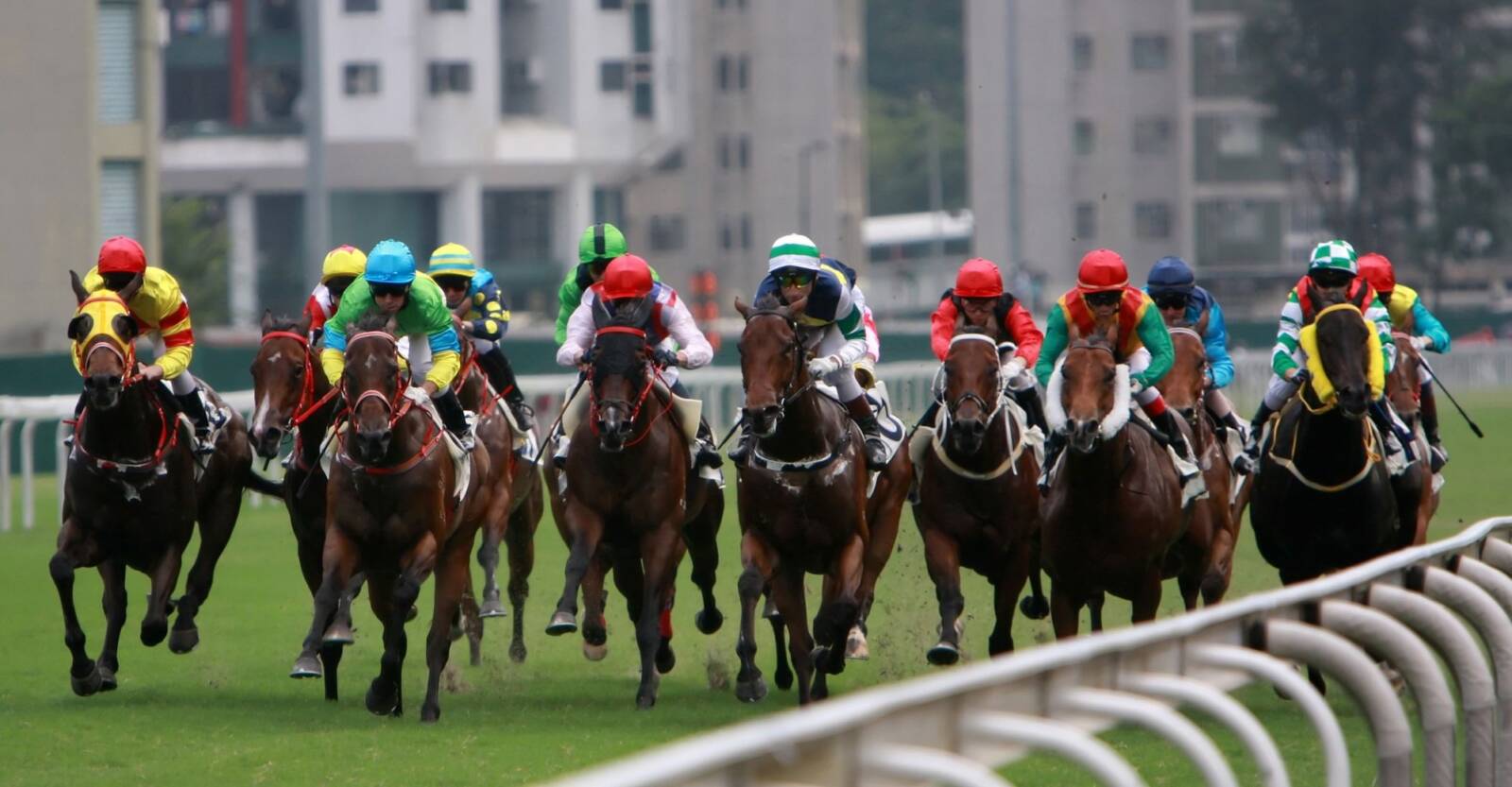 Ippica Hong Kong