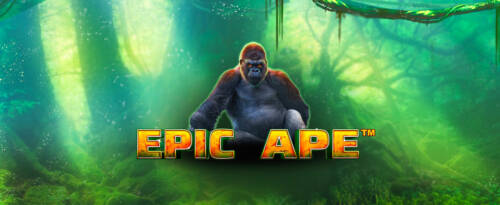 Le nostre recensioni delle migliori slot online a tema animali