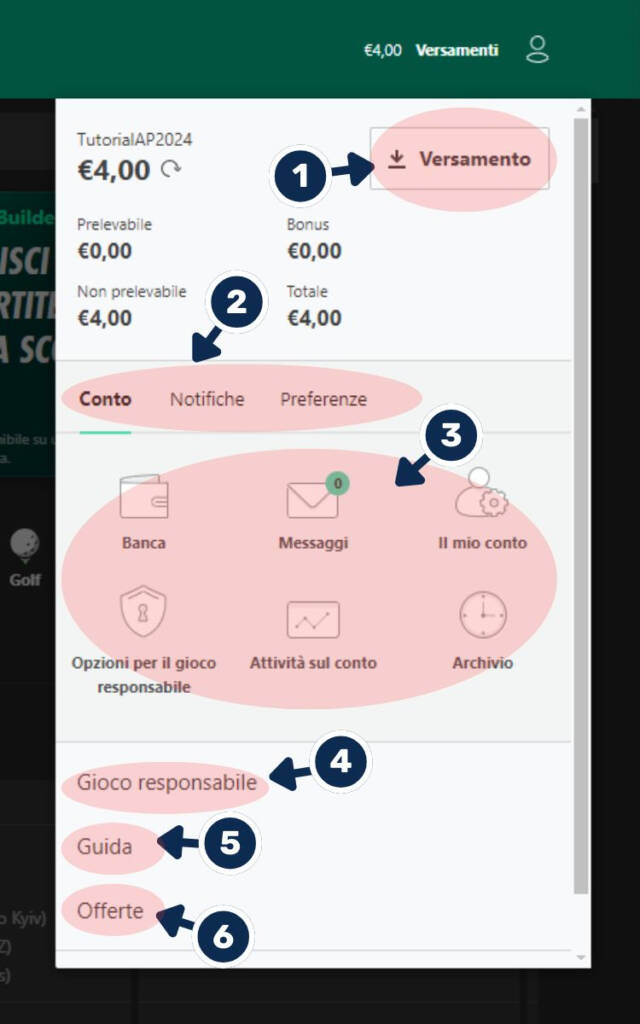 Le opzioni e le funzionalità del tuo profilo di gioco su Bet365