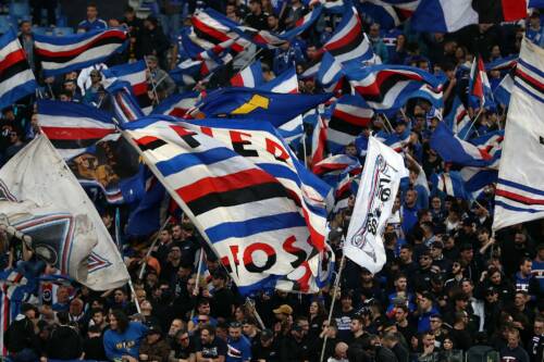 Caos Sampdoria: revocata la licenza a un bookmaker vicino al patron del club, ma Tey promette nuovi partner