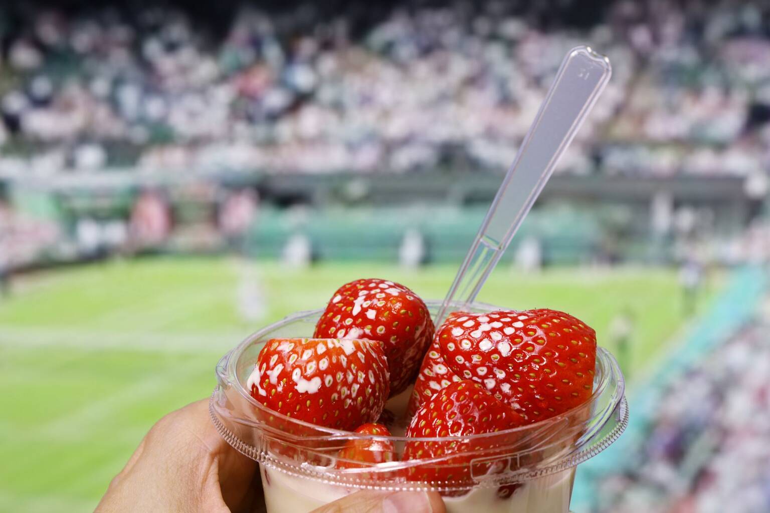 Wimbledon