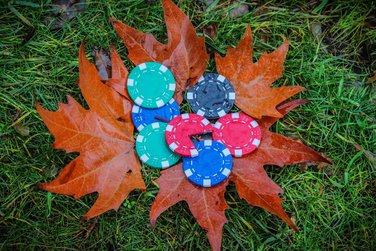 Poker autunno