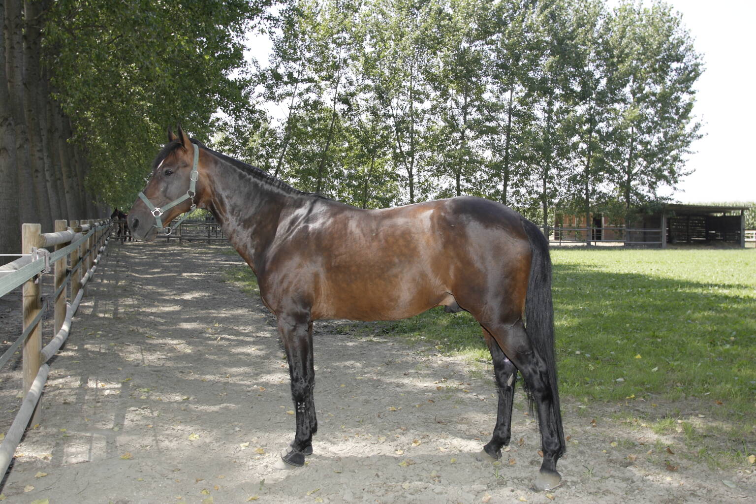 Varenne